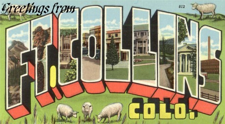 Fort Collins Real Estate