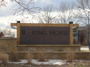 Bucking Horse, Fort Collins CO Homes